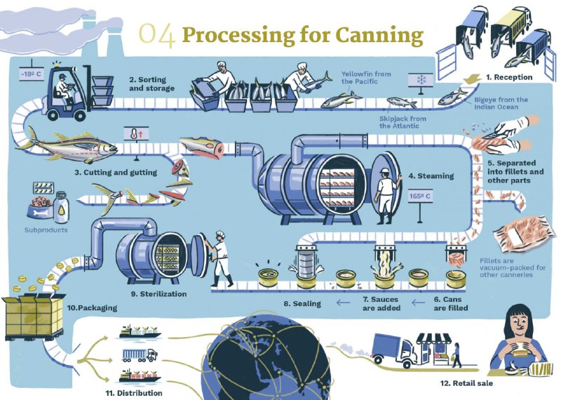 Canned Tuna Production Optimized: The Future of Industrial Manufacturing by 2025